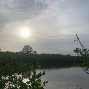 Meet your Posher, Gillian